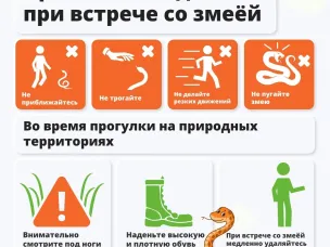 Осторожно змеи!!!